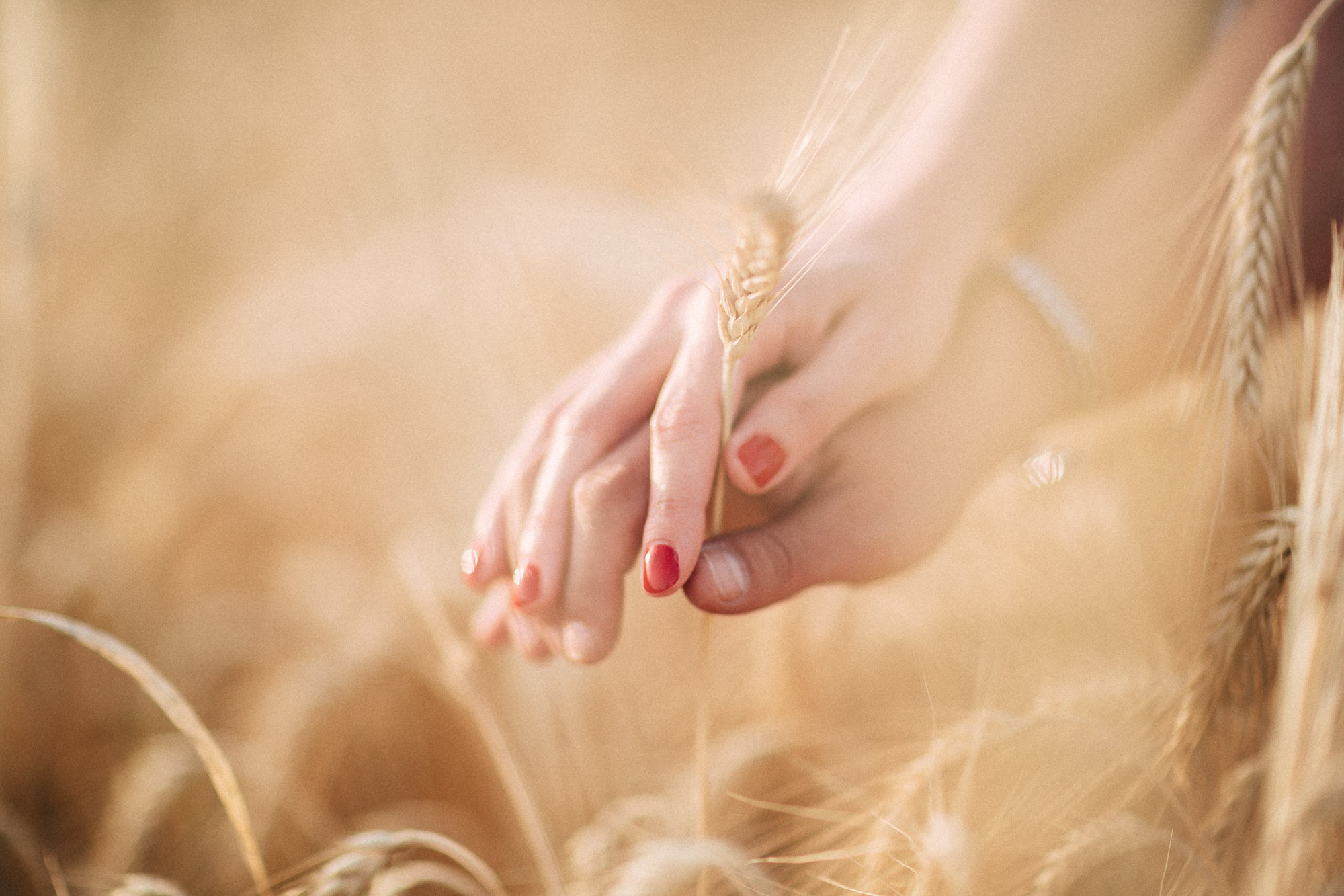 Couple Engagement Photography