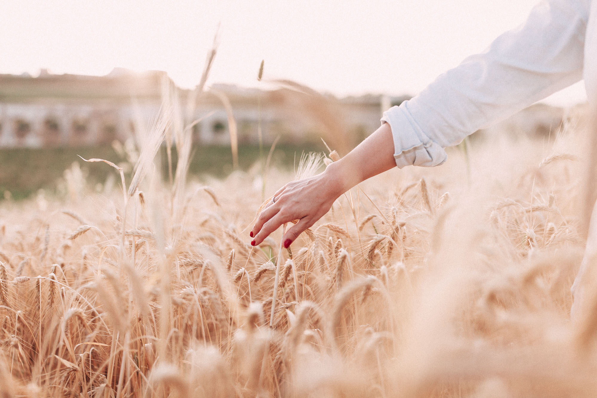 El compromiso de Miriam y Cisco en un trigal