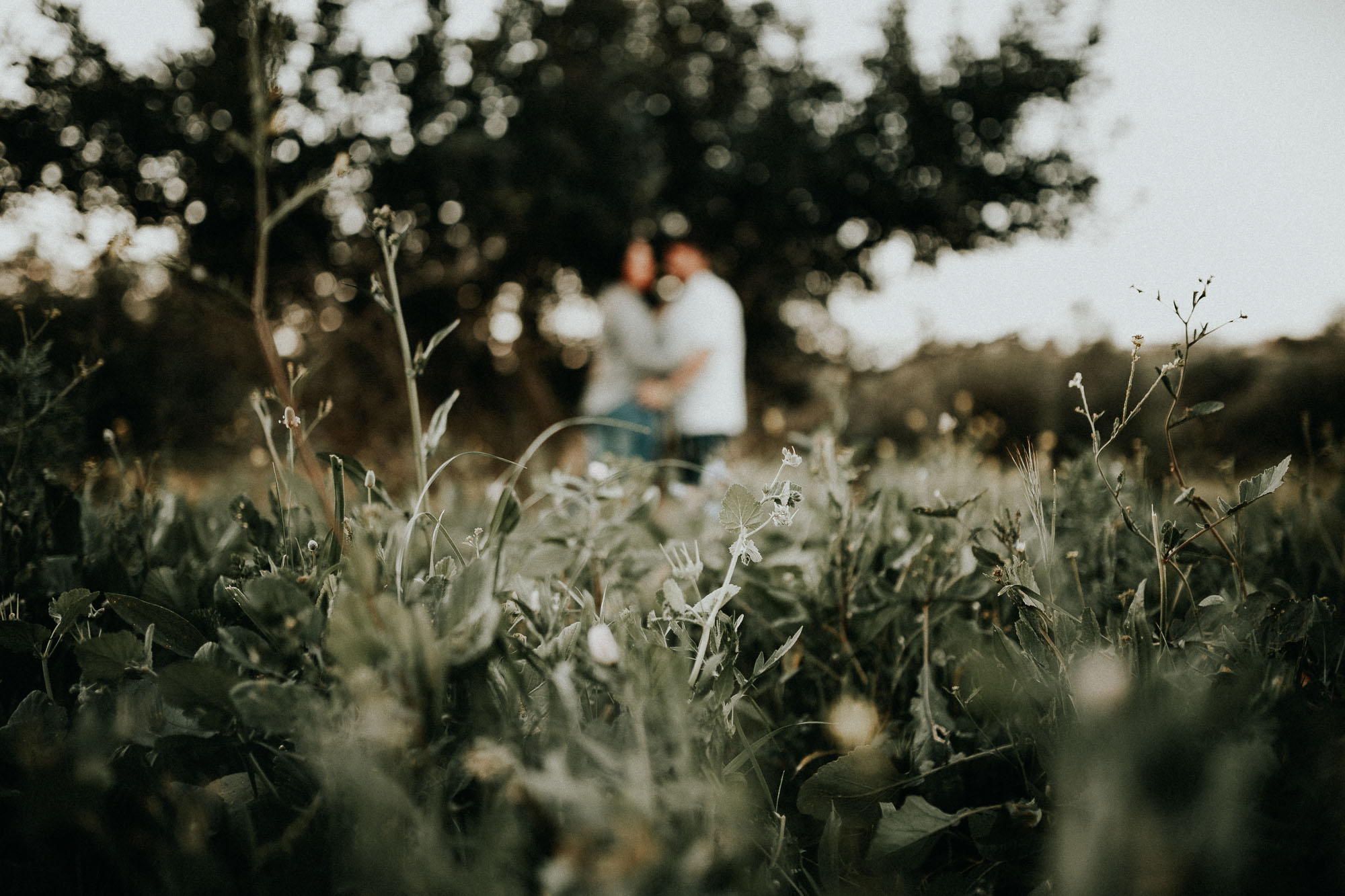 Fotografía de pareja en un trigal (Preboda)