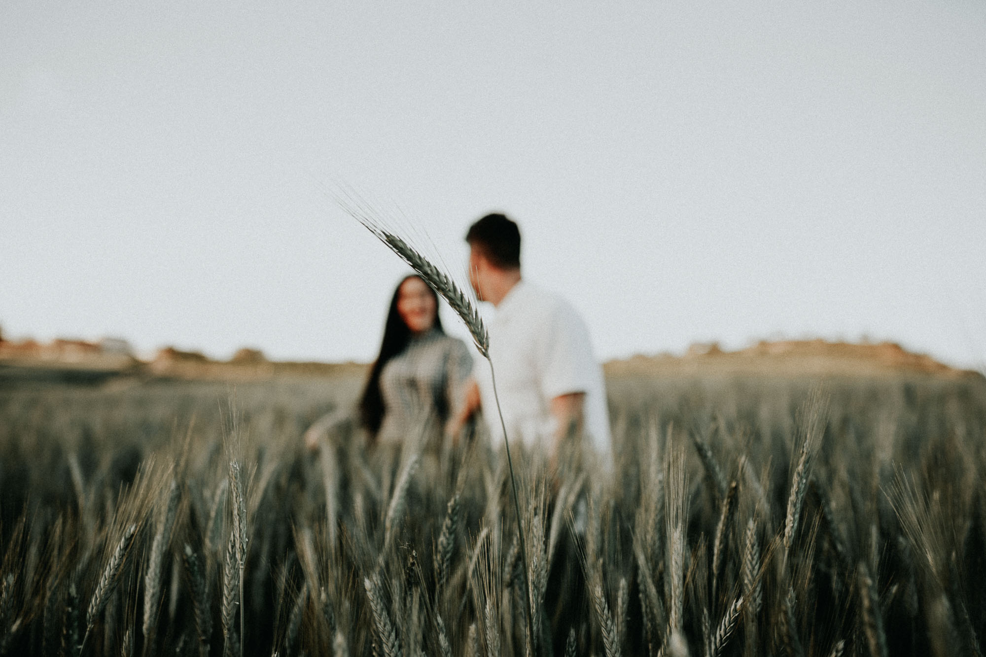 Fotografía de pareja en un trigal (Preboda)