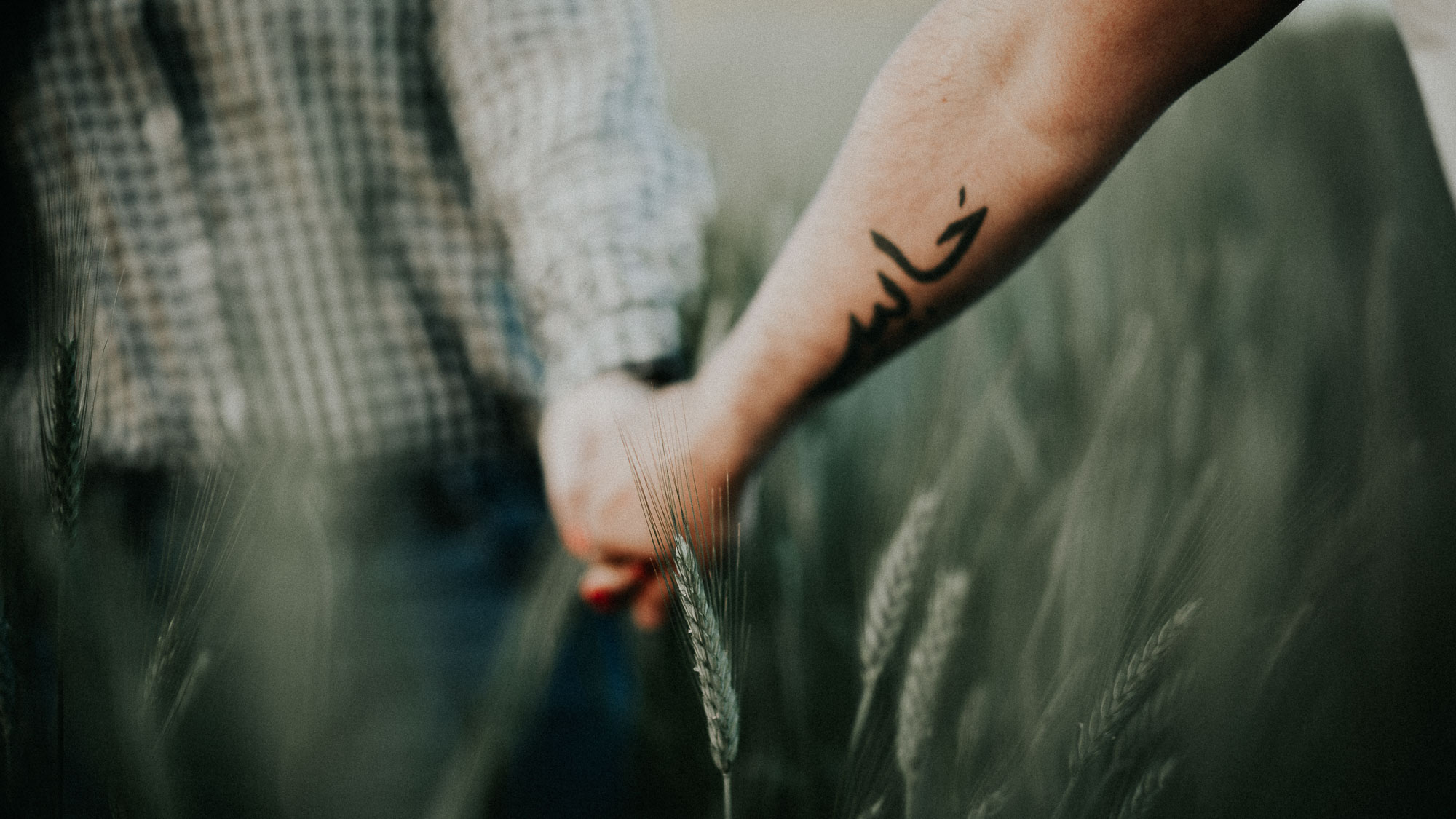 Fotografía de pareja en un trigal (Preboda)