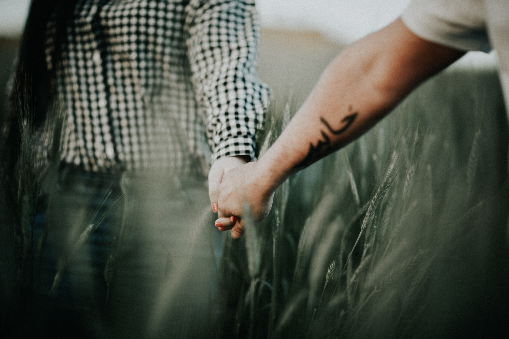 Fotografía de pareja en un trigal (Preboda)