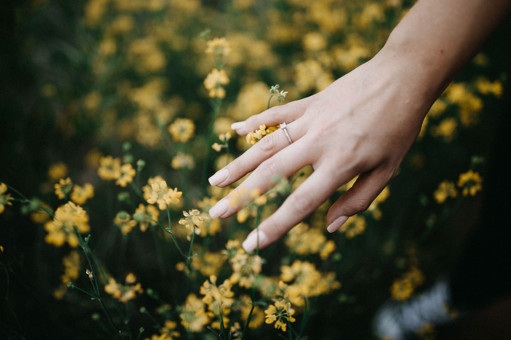 Fotografía de boda: la preboda