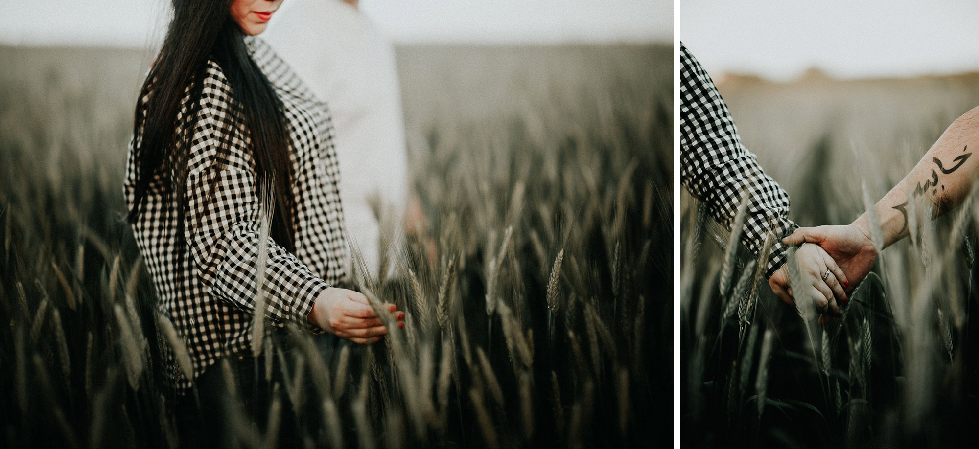 Fotografía de pareja en un trigal (Preboda)