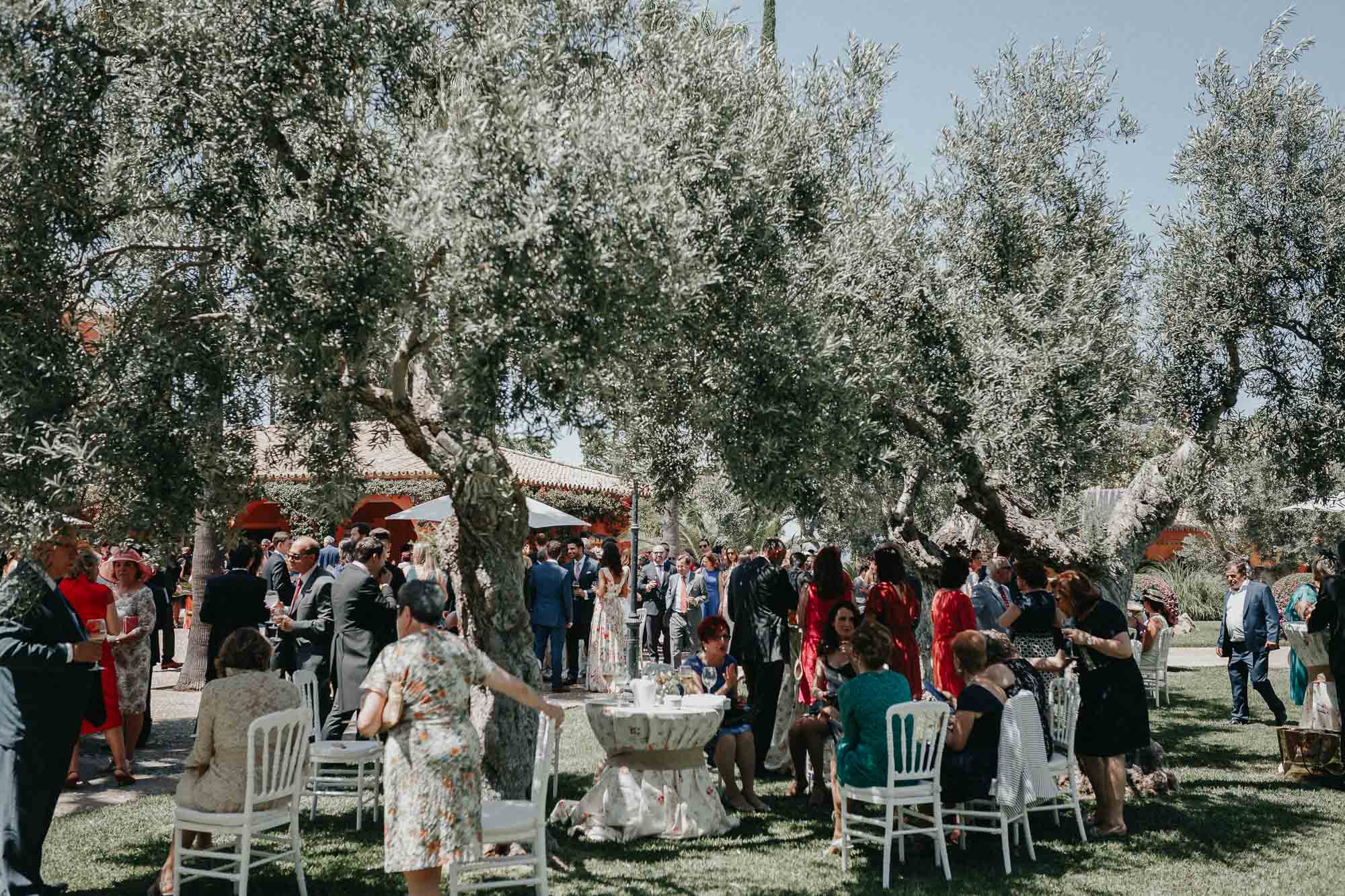 Una boda de abogados en Hacienda Los Parrales