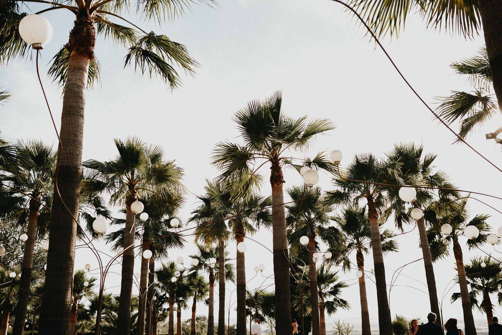 Una boda de abogados en Hacienda Los Parrales